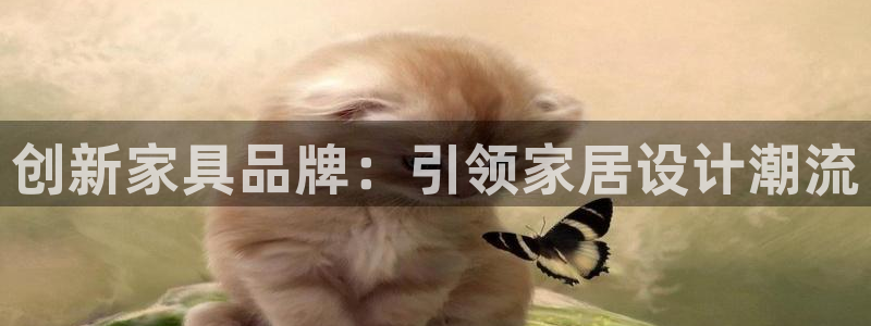 球盟会能提现吗安全吗