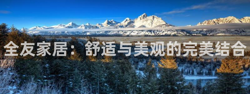 球盟会和中欧会的区别