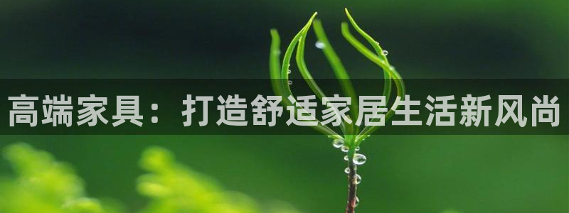 球盟会app最新地址在哪看