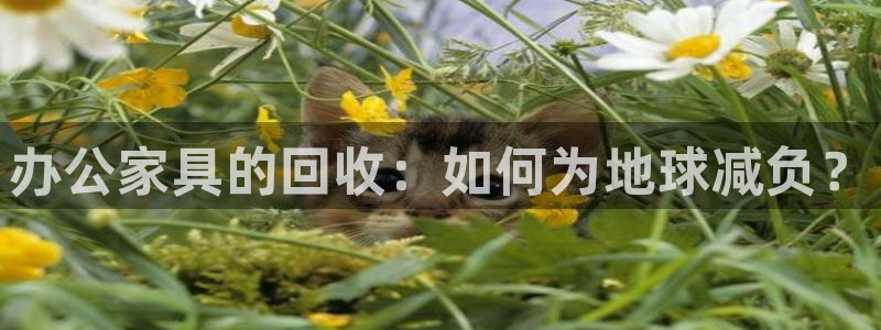 球盟会头号玩家：办公家具的回收：如何为地球减负？