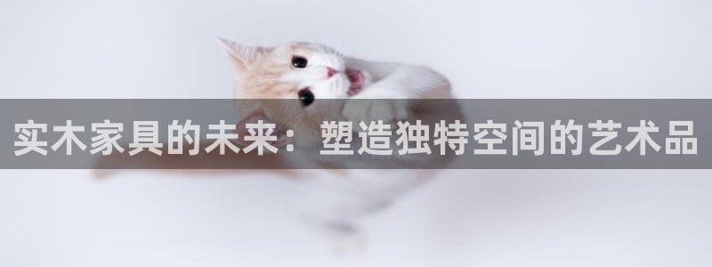 球盟会登录网址