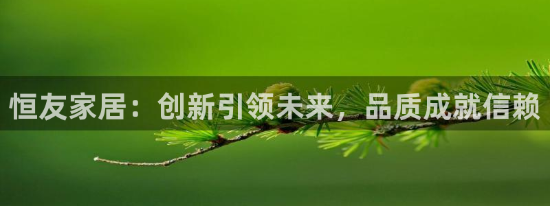 球盟会优惠领取网站：恒友家居：创新引领未来，品质成就信赖