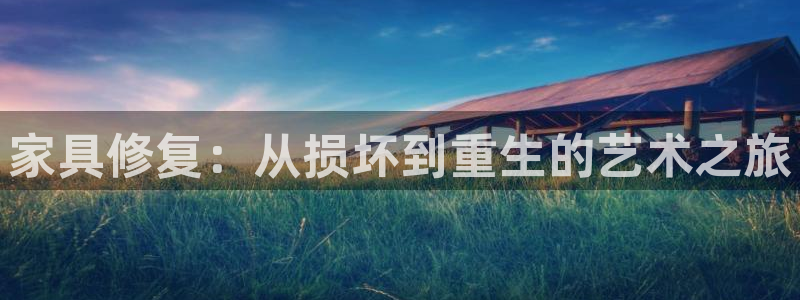 球盟会头号玩家是谁：家具修复：从损坏到重生的艺术之旅